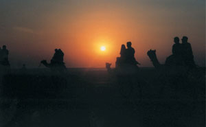 Camel trek in Rajasthan