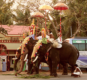 Ceremonial elephants