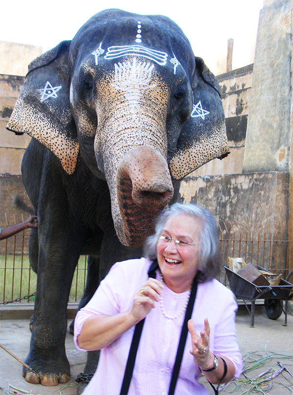 The temple elephant remembers Aline